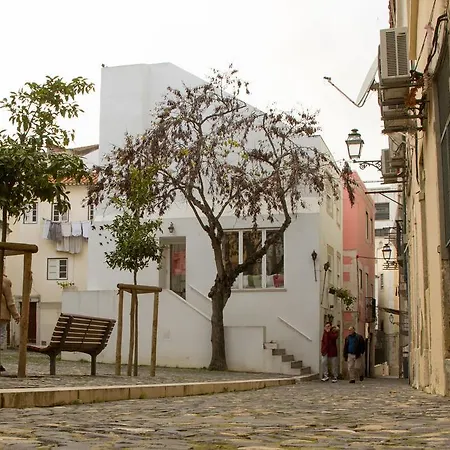 On The Path Of Fado